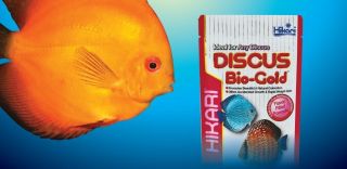 Hikari Discus Bio Gold 2 82oz Aquarium Fish Food