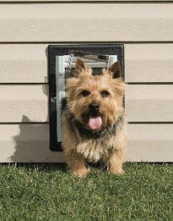 Dog Door for Wall Installation Insulation Easy Mount