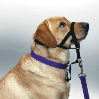 Halti No Pull Headcollar Harness for Dogs All Sizes
