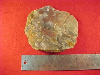 Nice Section of Petrified Wood Found Dinwiddie County Virginia