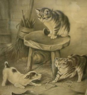 EXCELLENT WELL DONE F B DOWNING CAT CHARCOAL DRAWING PAINTING   CIRCA