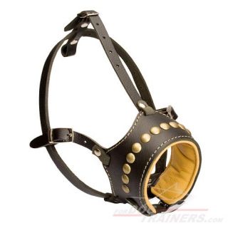 Dean and Tyler Leather Padded Dog Muzzle with Brass Studs