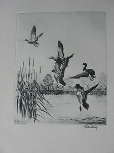 Richard E. Bishop Print LAKE ERIE MALLARDS Taking Flight From Marsh