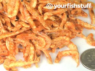 Krill Freeze Dried Bulk Aquarium Fish Food 1 4 Lb
