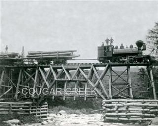 1903 East Branch And Lincoln Railroad ~ New Hampshire Logging Photo