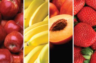 Bulk Freeze Dried Fruit 1080 Serving Long Term Food Storage Wise Food