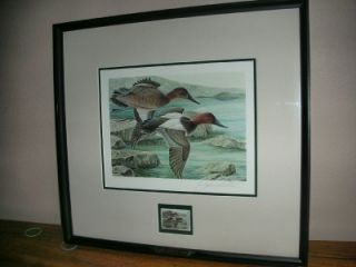 1984 Ducks Unlimited Framed Stamp & Print John Ruthven
