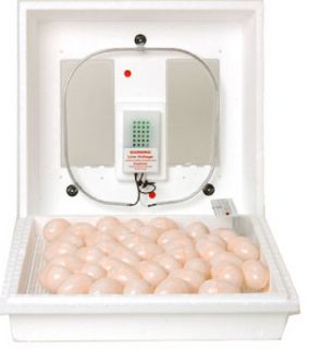 Miller Mfg 9200 17 3 4 x 17 3 4 Egg Incubator with Thermostat
