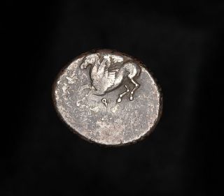  Corinthian stater, dating to the 4th Century B.C. Struck in Corinth