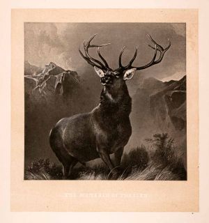1876 Heliogravure Sir Edwin Landseer Wildlife Art Stag Deer Glen