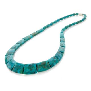 Jay King Misty Mountain Blue Turquoise Sterling Silver Collar Necklace