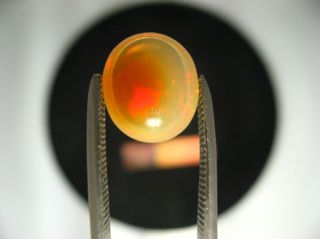 Ethiopian Wello polished tan crystal opal with red and green fire