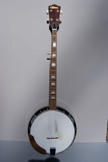 Vintage Ariana 5 String Banjo and Case