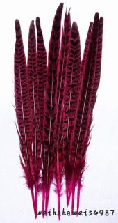  Rose Red Color Pheasant Tail Feathers 20 25cm JJW 10pcs WEI220