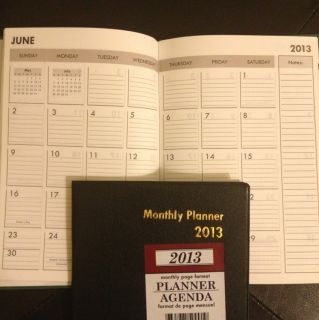 2013 Daily, MONTHLY Planner/Calendar/Organizer/Tax Expense Journal