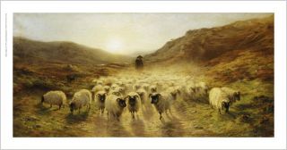 Joseph Farquharson Leaving Hills Sheep on Canvas