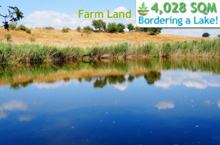 Join the bidding on this plot + more EU farmland & property on