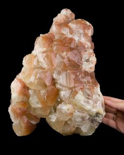 Exquisite brick red & clear modified rhombohedral calcite