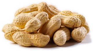 Raw Jumbo Peanuts in The Shell Buy by The Pound Roast Bake Boil Em