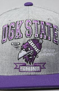 DGK The DGK State Of Mind Snapback Hat in Athletic Heather and Purple