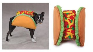 Food Themed Dog Costume Classic Dog Costumes for Less