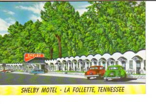 Shelby Motel La Follette Tennessee Vintage Postcard