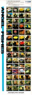  Fish Posters Your Choice 20 Out of 64 Koi Arowana Discus Bettas