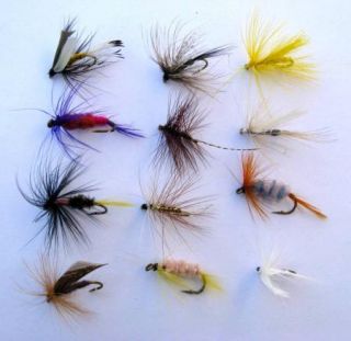 60 Flies Assorted Dry Wet Nymph Trout Fly Fishing Hook Coho Salmon