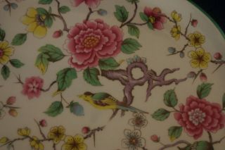 James Kent Old Foley Cake Plate Chinese Rose with Birds