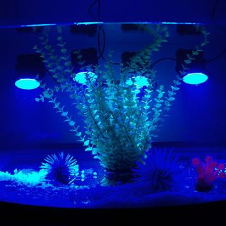 BLUE Garden Pond Outdoor Aquarium Fish Tank Underwater 36 LED Spot