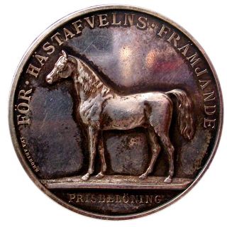  sweden gustaf v king of sweden 1907 1950 horse breeding promotion foer