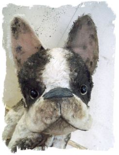 no 7 french bulldog a biggy frenchie one of a kind 12 cabinet size