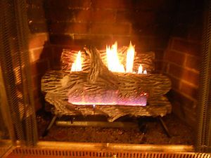 Natural Gas Ventless Fireplace Logs with Brass Glass Door Surround