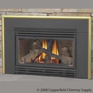   GDI 30N Direct Vent Gas Fireplace Insert Natural Gas Minimum Firepla