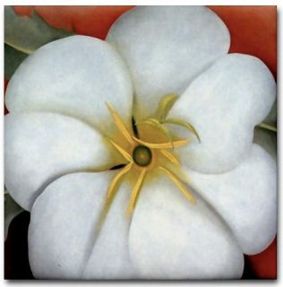 Reproduction of Georgia OKeeffe Art   White Flower on Red Earth