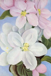 Apple Blossoms Large Color Print by Georgia OKeeffe