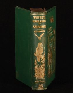 Gilbert Whites The Natural History and Antiquities of Selborne, for
