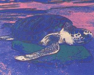 Andy Warhol Turtle Signed Numbered Mint RARE Investment