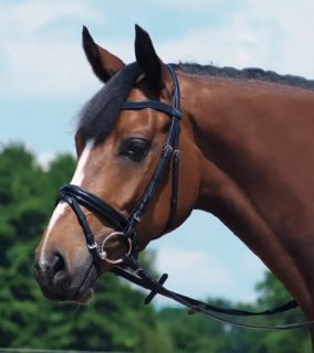 this stunning black leather glamour snaffle bridle has a gently curved