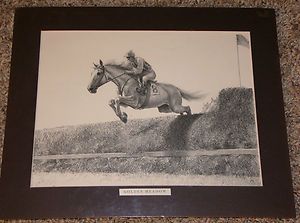 Thoroughbred Race Horse Print Golden Meadow” by C w Anderson