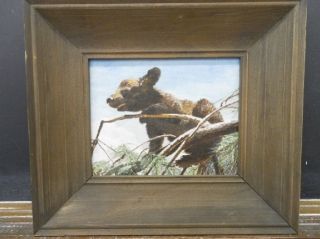 Baby Bear Wilderness Wildlife Scene Original Oil Painting North