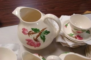 Handpainted Pottery Dinnerware by Canonsburg Pottery American Beauty
