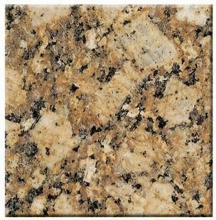 Granite Giallo Fiorito Kitchen Countertop with Back Splash 26X96