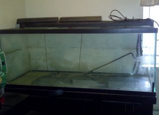  210 Gallon All Glass Tank with Filter