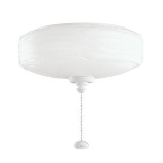 Progress Lighting AirPro Two Light Bowl Ceiling Fan Light Kit