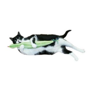 Imperial Cat Cat n Around Slither n Snake Catnip Toy