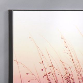  Gulf Sunset with Sea Wheat Laminated Framed Wall Art Set   36 x 53