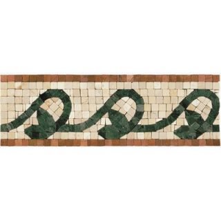 Shaw Floors Mosaic Vine Listello Tile Accent in Rust / Green   CS57A