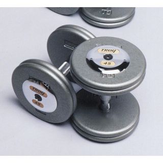 80 lbs Pro Style Cast Dumbbells in Gray
