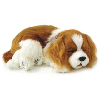 Perfect Petzzz Cavalier King Charles Soft Toy